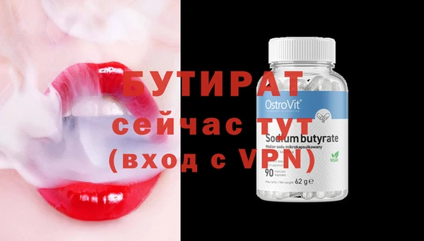 твердый Бердск