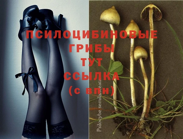 дмт Михайловск