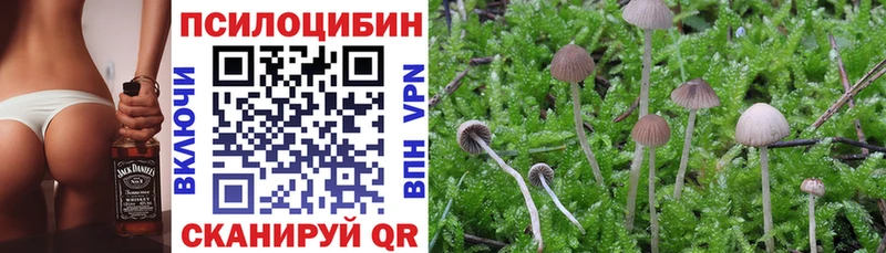 Псилоцибиновые грибы прущие грибы Екатеринбург